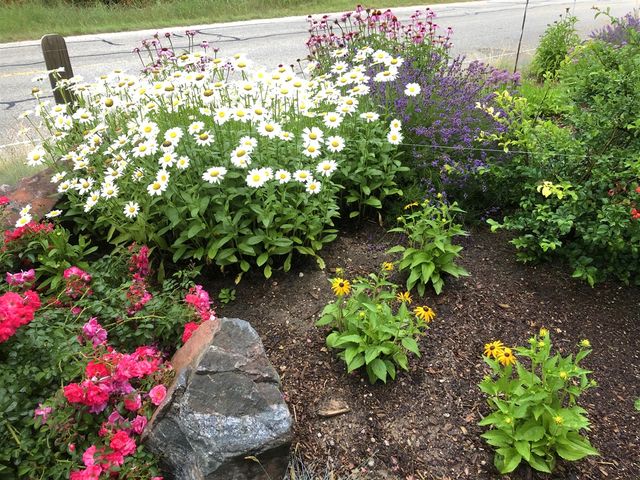 3151 Crystal Drive, Beulah, MI 49617