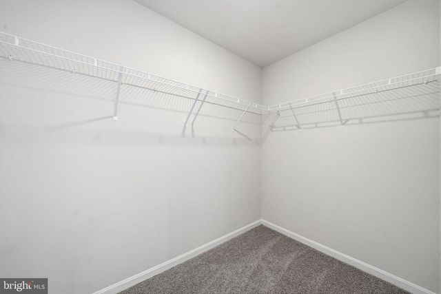 17466 CLARK & YORK BLVD, Ruther Glen, VA 22546