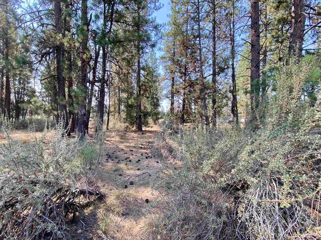 5xxx WA 291 Hwy, Nine Mile Falls, WA 99026