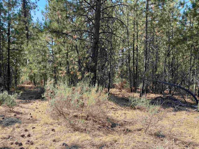 5xxx WA 291 Hwy, Nine Mile Falls, WA 99026