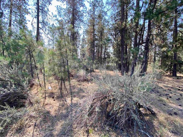 5xxx WA 291 Hwy, Nine Mile Falls, WA 99026