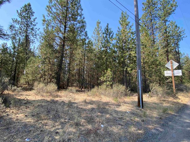 5xxx WA 291 Hwy, Nine Mile Falls, WA 99026