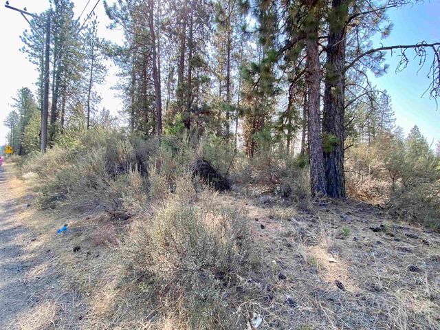 5xxx WA 291 Hwy, Nine Mile Falls, WA 99026