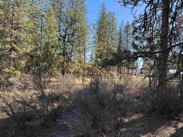 5xxx WA 291 Hwy, Nine Mile Falls, WA 99026