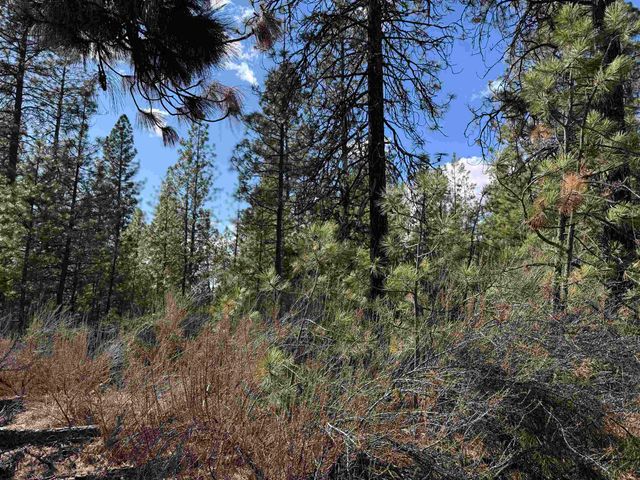 5xxx WA 291 Hwy, Nine Mile Falls, WA 99026