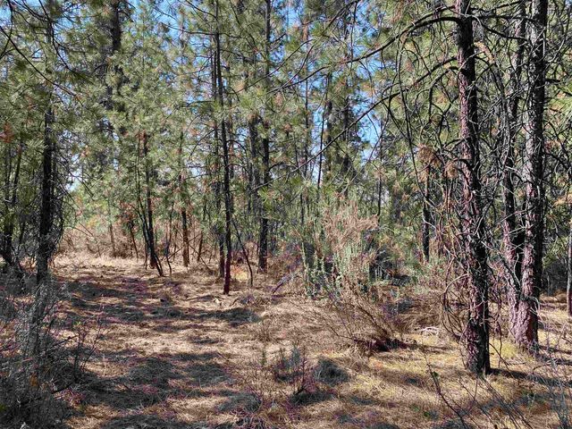 5xxx WA 291 Hwy, Nine Mile Falls, WA 99026