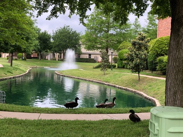 648 Laketrail Drive, Richardson, TX 75081
