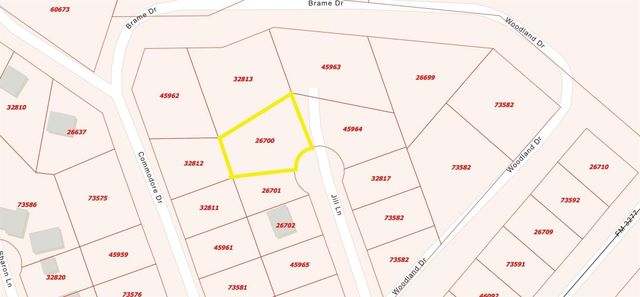 TBD Jill Lane, Livingston, TX 77351