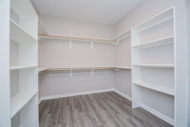 12328 N Chestnut Hills Drive, Conroe, TX 77303