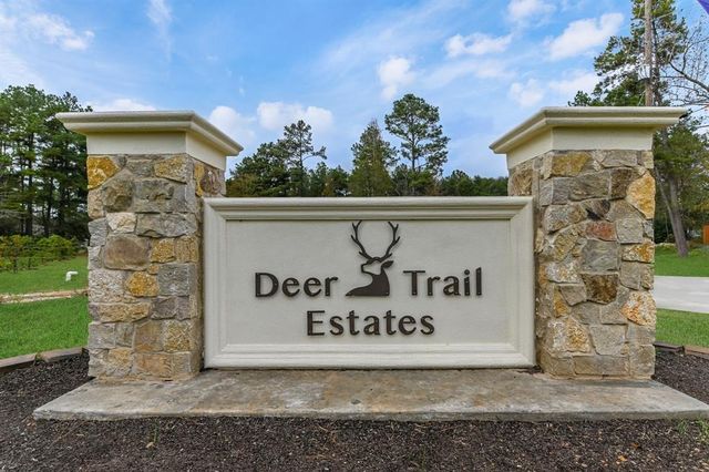 12328 N Chestnut Hills Drive, Conroe, TX 77303