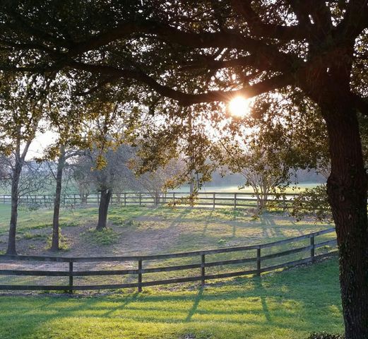 211 Brazos Hill Lane, Sealy, TX 77474