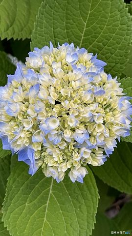 32 Jackson Road, Enfield, CT 06082