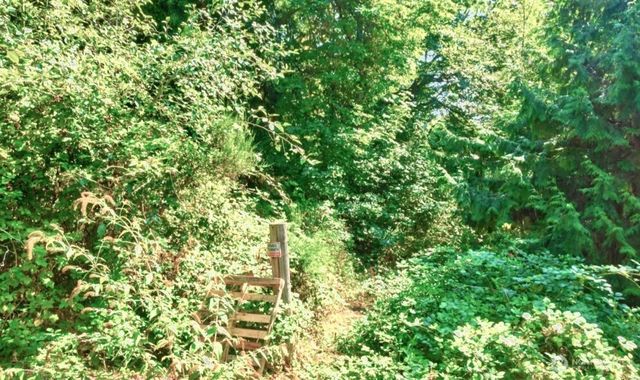 157 xx 72nd Avenue W, Edmonds, WA 98026