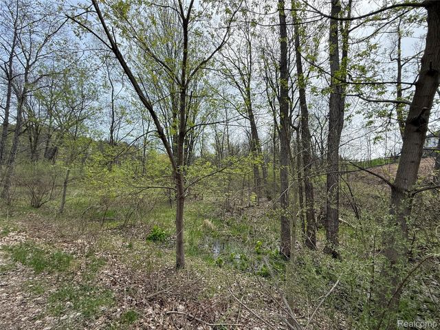 Lot 66 Preserve Drive, Tyrone Township, MI 48430