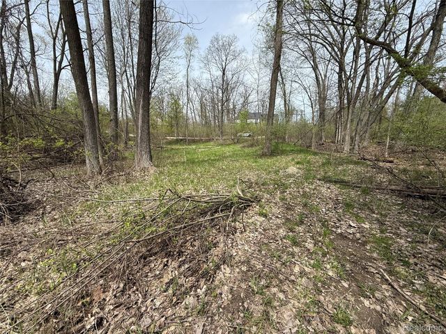 Lot 66 Preserve Drive, Tyrone Township, MI 48430