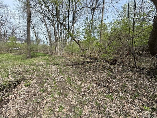 Lot 66 Preserve Drive, Tyrone Township, MI 48430