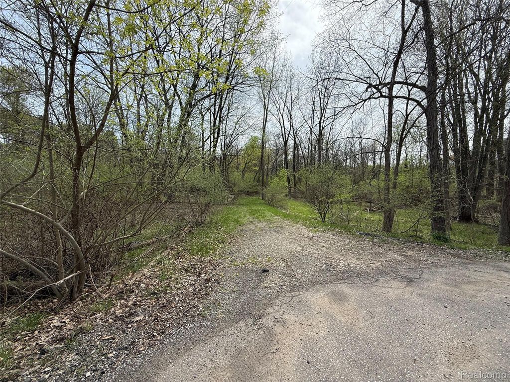Lot 66 Preserve Drive, Tyrone Township, MI 48430