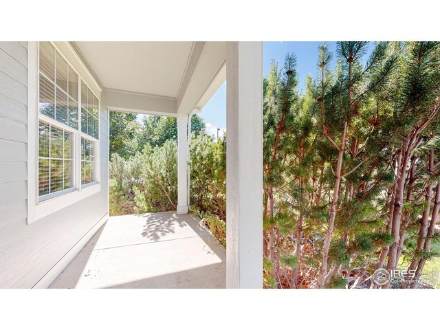 4061 Swan Mountain Dr, Loveland, CO 80538