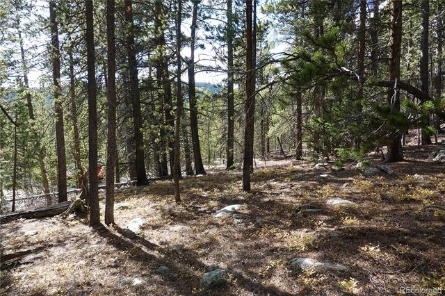 000 Loch Lomond Rd & Vista Rd, Idaho Springs, CO 80452