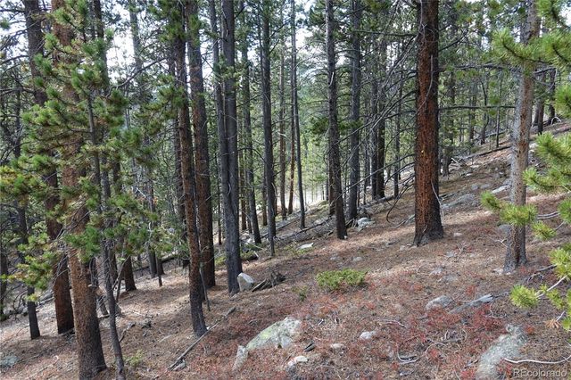 000 Loch Lomond Rd & Vista Rd, Idaho Springs, CO 80452