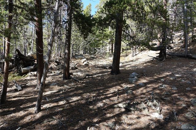 000 Loch Lomond Rd & Vista Rd, Idaho Springs, CO 80452