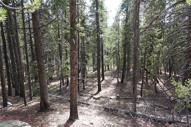 000 Loch Lomond Rd & Vista Rd, Idaho Springs, CO 80452