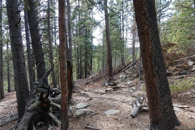 000 Loch Lomond Rd & Vista Rd, Idaho Springs, CO 80452