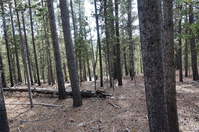 000 Loch Lomond Rd & Vista Rd, Idaho Springs, CO 80452