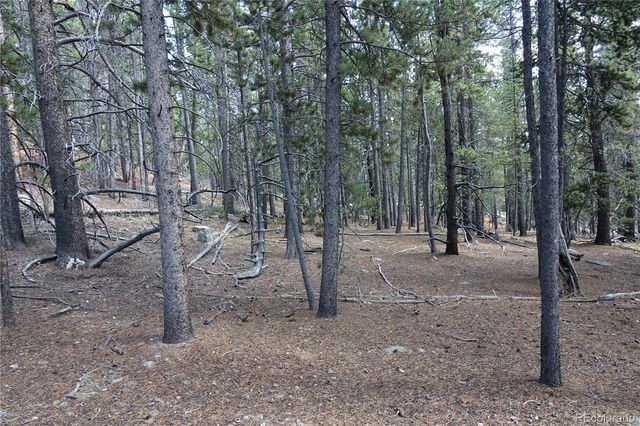 000 Loch Lomond Rd & Vista Rd, Idaho Springs, CO 80452