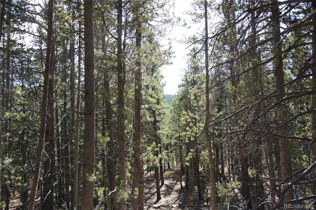 000 Loch Lomond Rd & Vista Rd, Idaho Springs, CO 80452