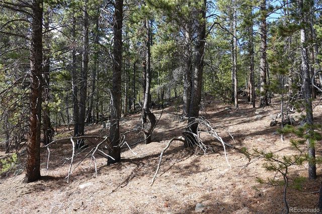 000 Loch Lomond Rd & Vista Rd, Idaho Springs, CO 80452