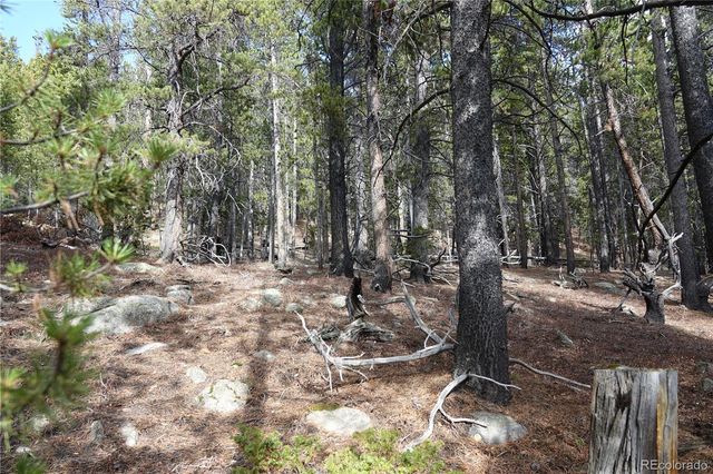 000 Loch Lomond Rd & Vista Rd, Idaho Springs, CO 80452