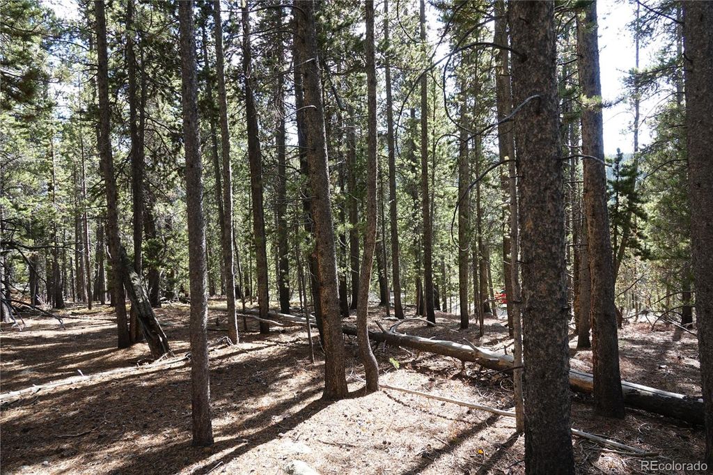 000 Loch Lomond Rd & Vista Rd, Idaho Springs, CO 80452
