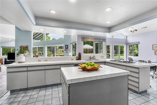 1321 El Finito Way, North Tustin, CA 92705