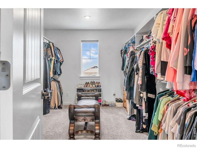 2096 Glean Drive, Windsor, CO 80550