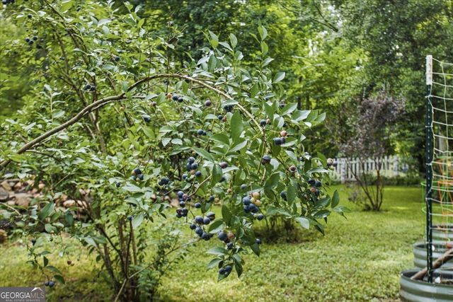 267 Joe Cox Road, Sharpsburg, GA 30277