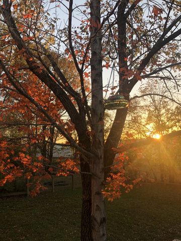 210 Hardin Ave, Dickson, TN 37055