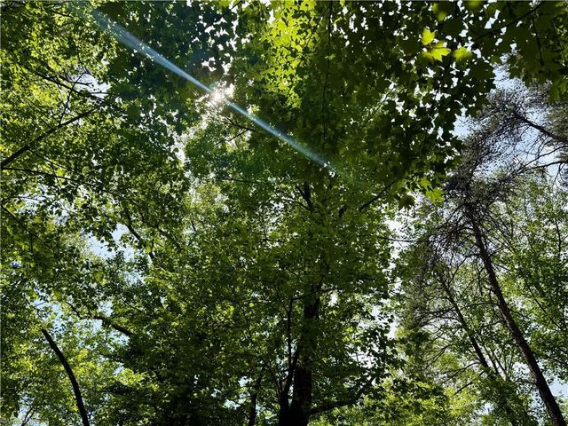 0000 Ashe View Drive, Millers Creek, NC 28651