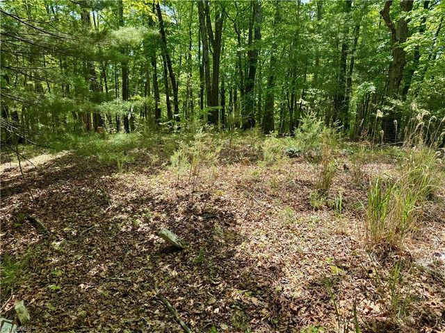 0000 Ashe View Drive, Millers Creek, NC 28651