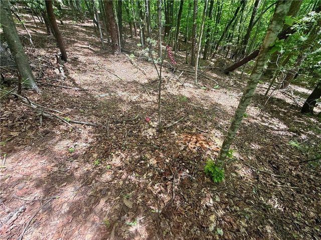 0000 Ashe View Drive, Millers Creek, NC 28651