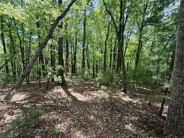 0000 Ashe View Drive, Millers Creek, NC 28651