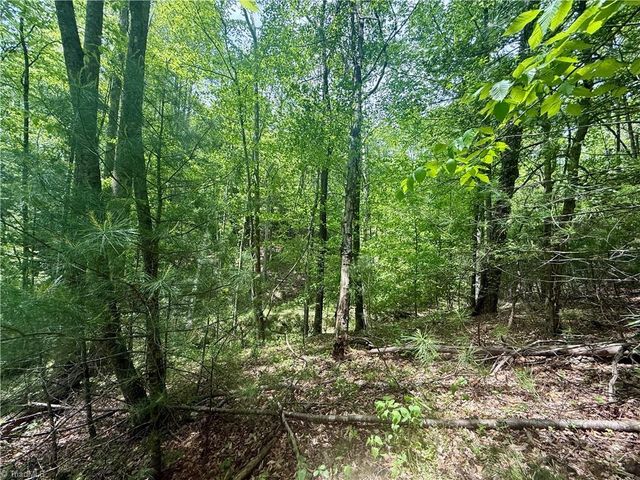 0000 Ashe View Drive, Millers Creek, NC 28651
