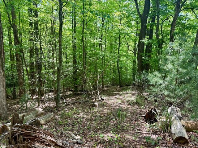 0000 Ashe View Drive, Millers Creek, NC 28651