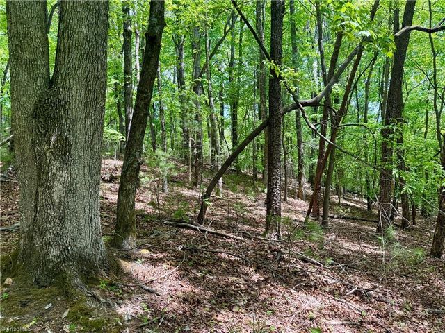 0000 Ashe View Drive, Millers Creek, NC 28651