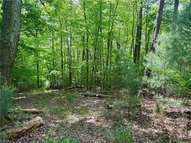0000 Ashe View Drive, Millers Creek, NC 28651