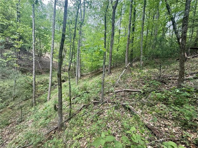 0000 Ashe View Drive, Millers Creek, NC 28651