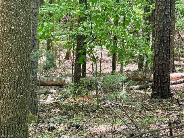 0000 Ashe View Drive, Millers Creek, NC 28651