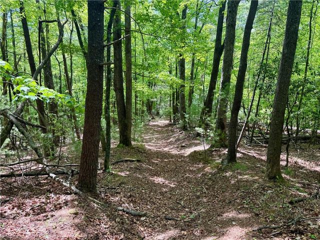 0000 Ashe View Drive, Millers Creek, NC 28651