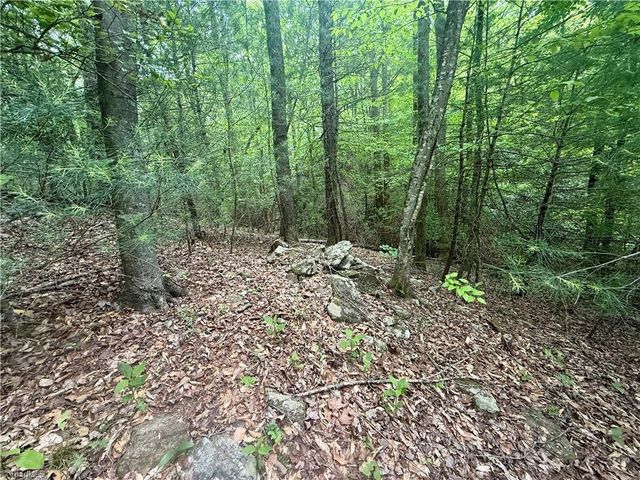 0000 Ashe View Drive, Millers Creek, NC 28651