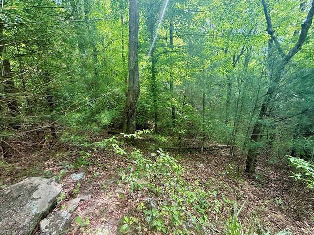 0000 Ashe View Drive, Millers Creek, NC 28651
